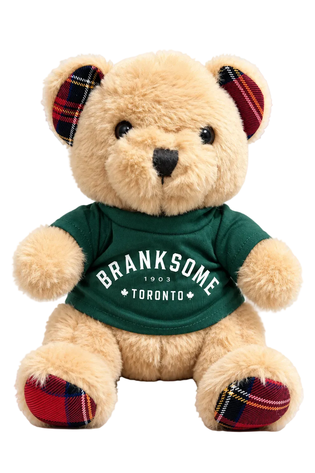 Branksome Tartan Teddy